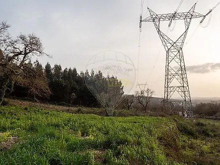 image-3Kfj3PZ0Y1Y-0