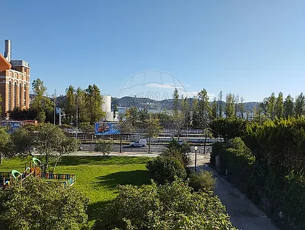image-5JjRVIksrSO-0