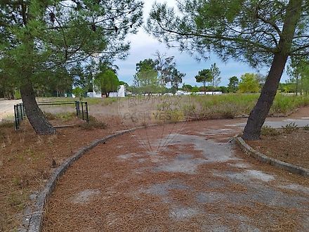 Land for sale in Coruche, Portugal — €66,500