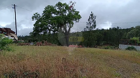 image-6v8Hyha3j6R-0