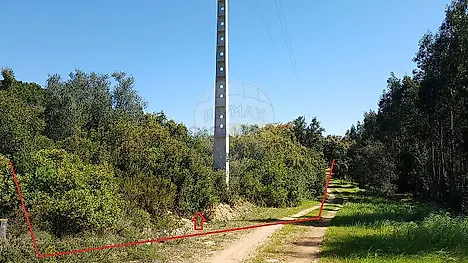 image-ApFq9Sxdyz8-0