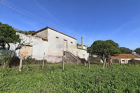 image-IdUQjpHLpBm-0