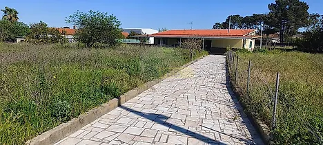 image-EgWHkOGr0M8-0