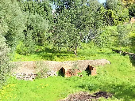 image-CpIKriOYhuJ-0
