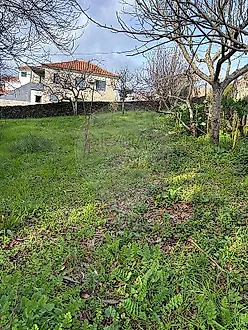 image-KWPnOEZjS6v-0