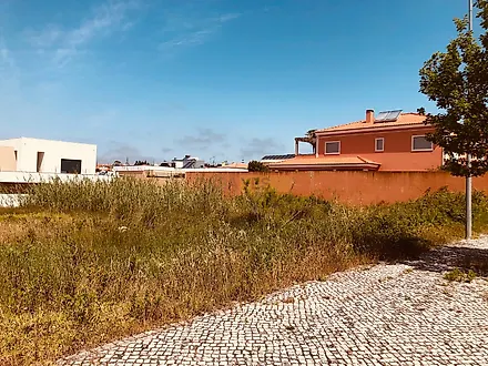 image-B2Nqgn1Cv8d-0