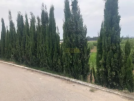 image-EgbOZoZvLTQ-0