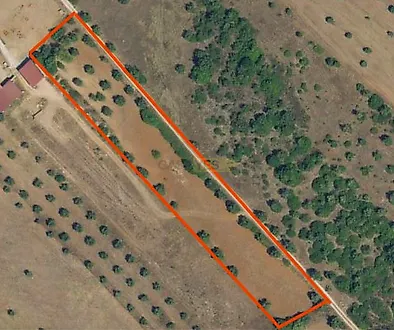 listing-LLIFK5gvew6