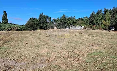 image-62HNPmX149R-0
