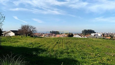 image-724qHvAlcbQ-0
