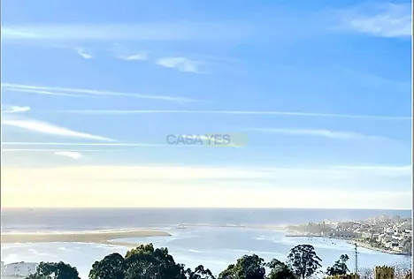 image-LWqP82793SC-0
