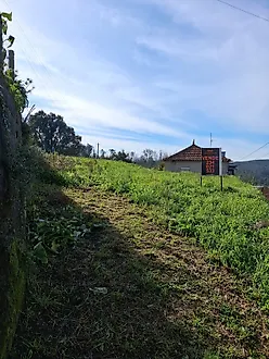 image-2B0LD463JUY-0