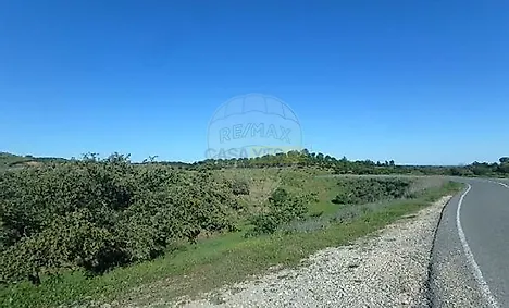 image-D8jydzQkuDO-0