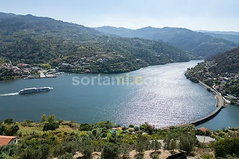 Land for sale in Resende, Portugal — €250,000