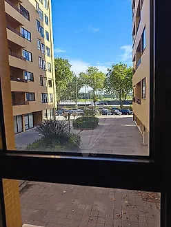 image-1NFuPvVRXYL-0
