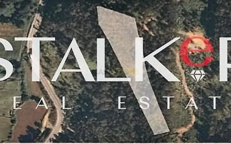 image-9lmBSz4k9af-0