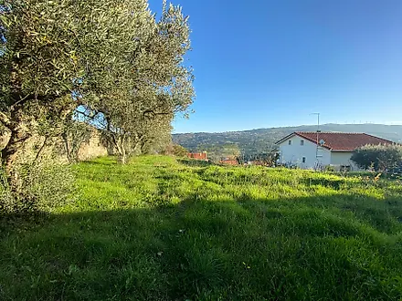 image-CYUMn9de4Na-0