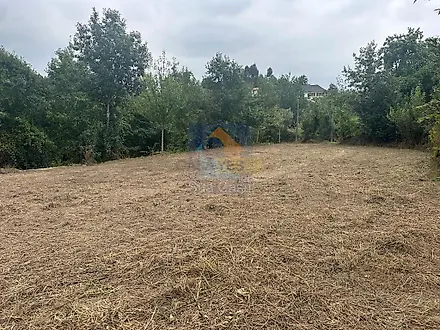 image-GyPHjFkWmE2-0