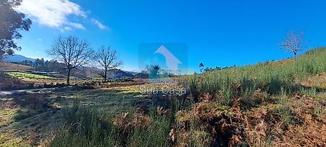 image-Luy6KbXZwq0-0