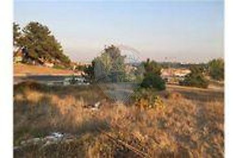 image-AQFnnPcdlXV-0