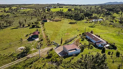 image-7tGCYzxoT7b-0