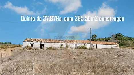 image-HVEai9JD2Hb-0