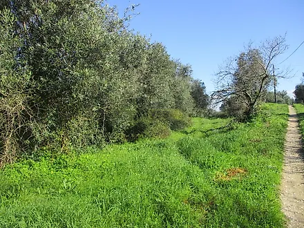 image-6FtIi6KwY4q-0