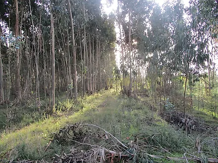 image-E09J1BIxv4G-0