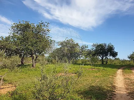 Land for sale in Tavira, Portugal — €178,000