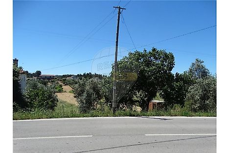 image-1z67cXoAcMu-0
