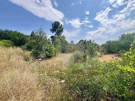 image-1fHqNr78emZ-0