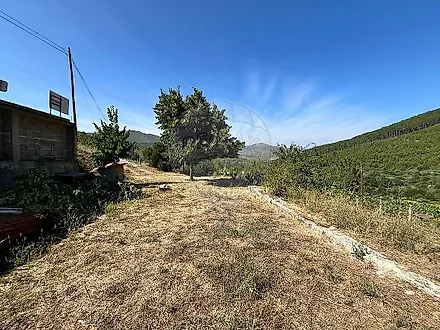 image-2PJsGBz2M0k-0