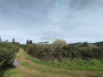 image-8L6A2ALnbLW-0