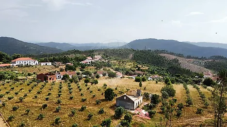 image-9AIfoDHBUP0-0