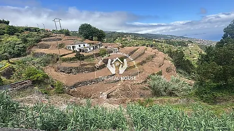 listing-FyKamn2a19O