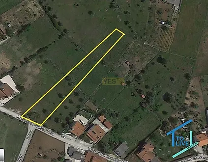 image-9mawX1nMAqm-0
