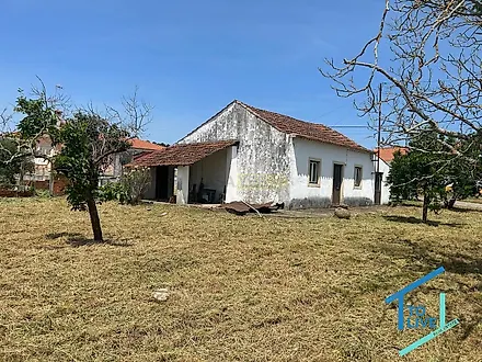 image-Jfiq497Tzyn-0