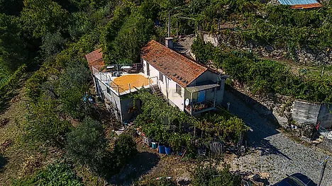 image-B4dnaVagvuG-0