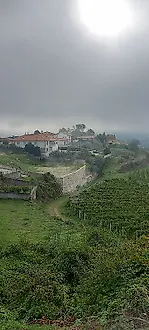 Land for sale in Amarante, Portugal — €67,500