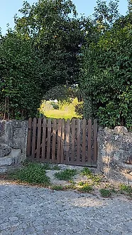 image-Kg2ji2JPKmE-0