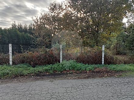 image-17LJIBbDlXF-0