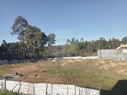 image-8ELzVoT74be-0