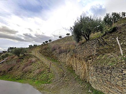 image-4oKrTInZKSH-0