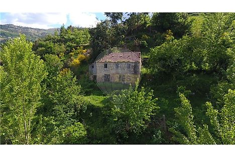 image-J9piXrTt9zG-0