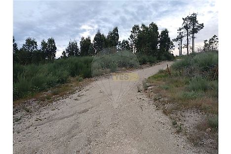 image-LPccwhZ6B2k-0