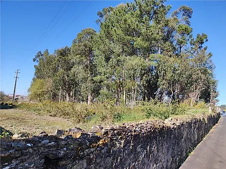 Land for sale in Santa Maria da Feira, Portugal — €125,000