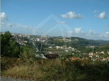 Land for sale in Oliveira de Azeméis, Portugal — €250,000