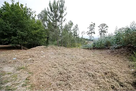 Land for sale in Oliveira de Azeméis, Portugal — €55,000