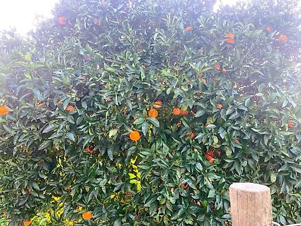 Land for sale in Portimão, Portugal — €300,000