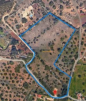 listing-8MLRjNA5ASk